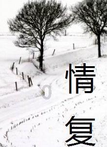 逃离违建房屋8